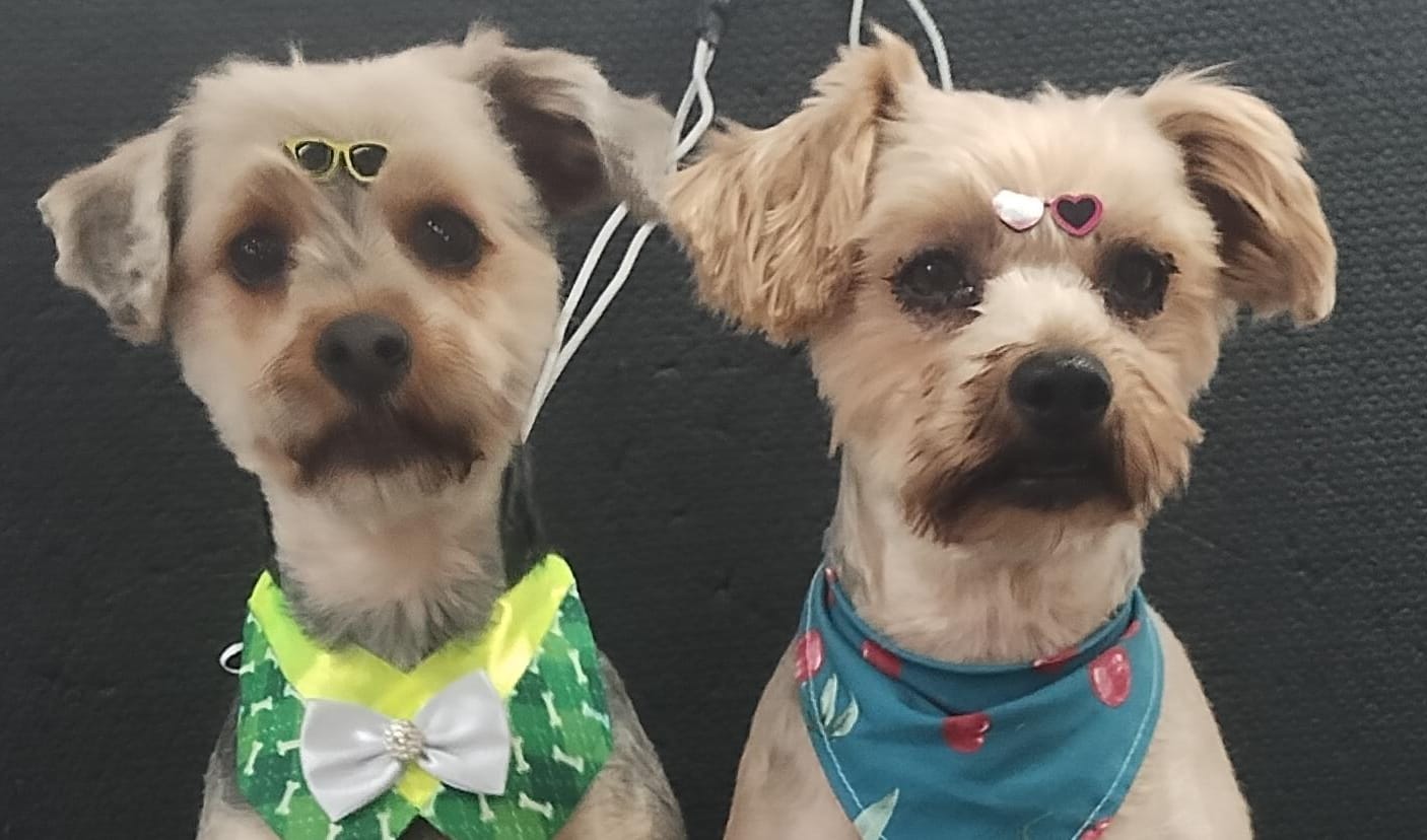 terça-feira, 18/11/2025 17:31