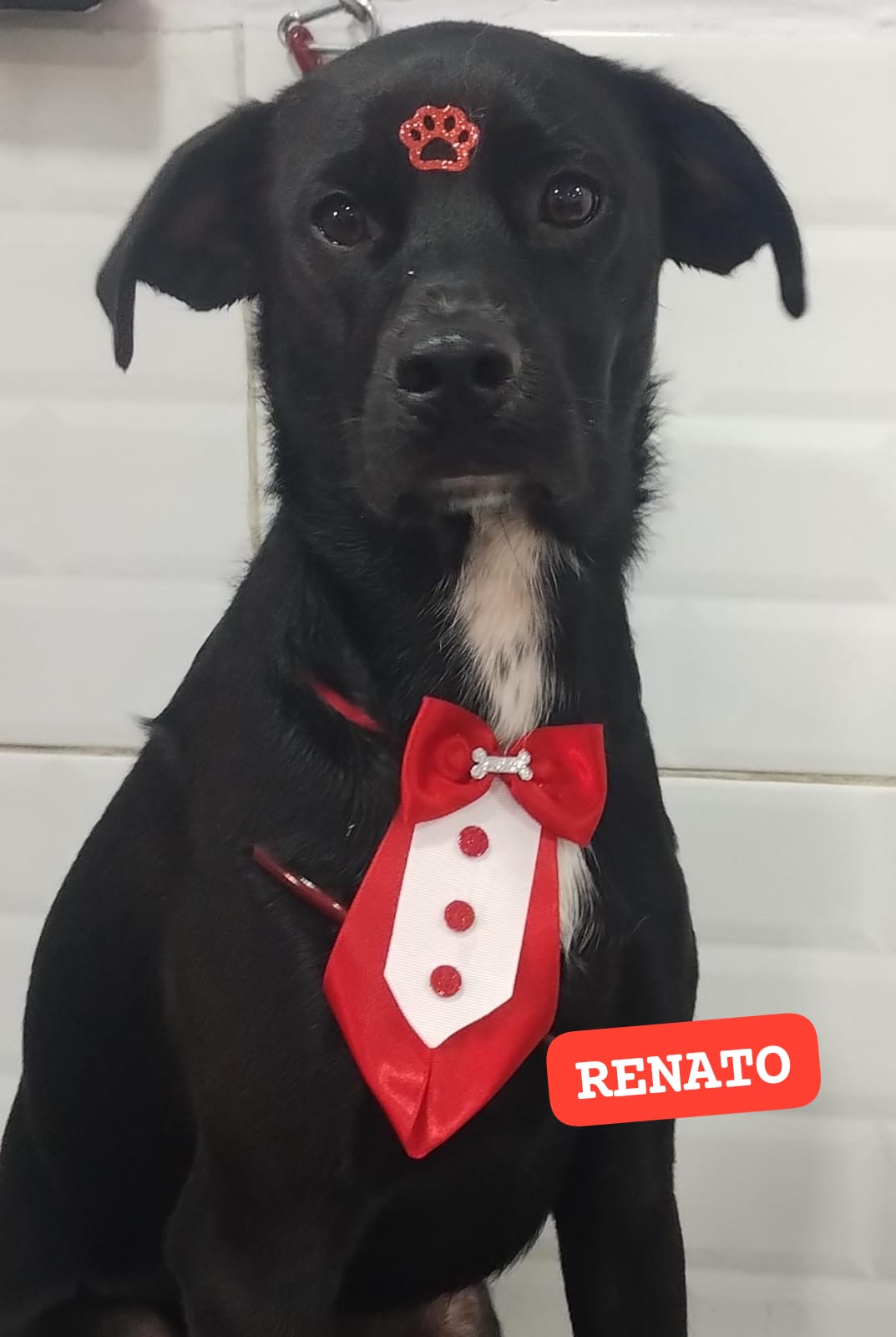 terça-feira, 18/11/2025 18:03