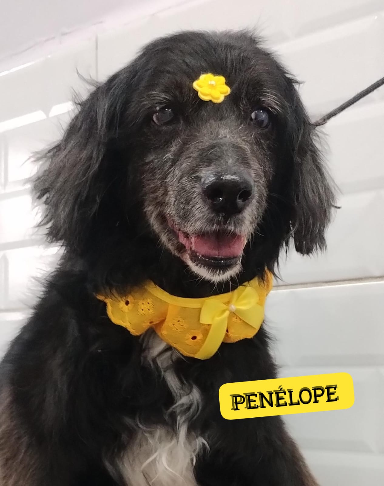 segunda-feira, 01/12/2025 16:25