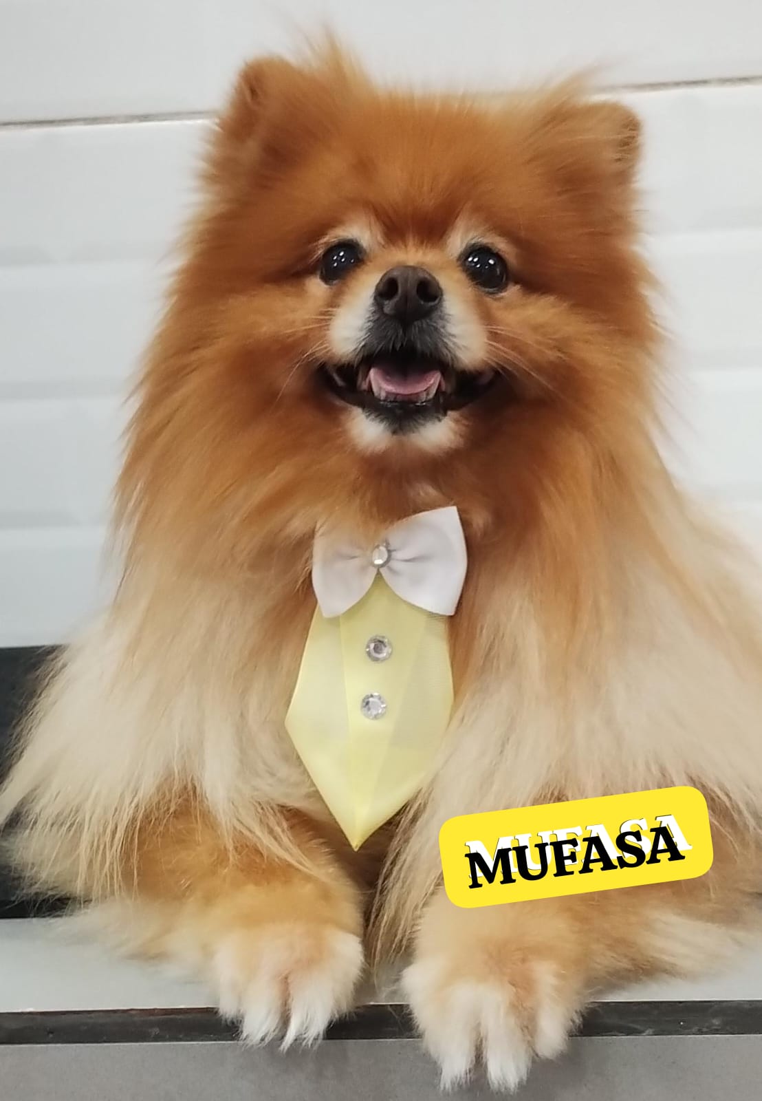 terça-feira, 02/12/2025 10:56