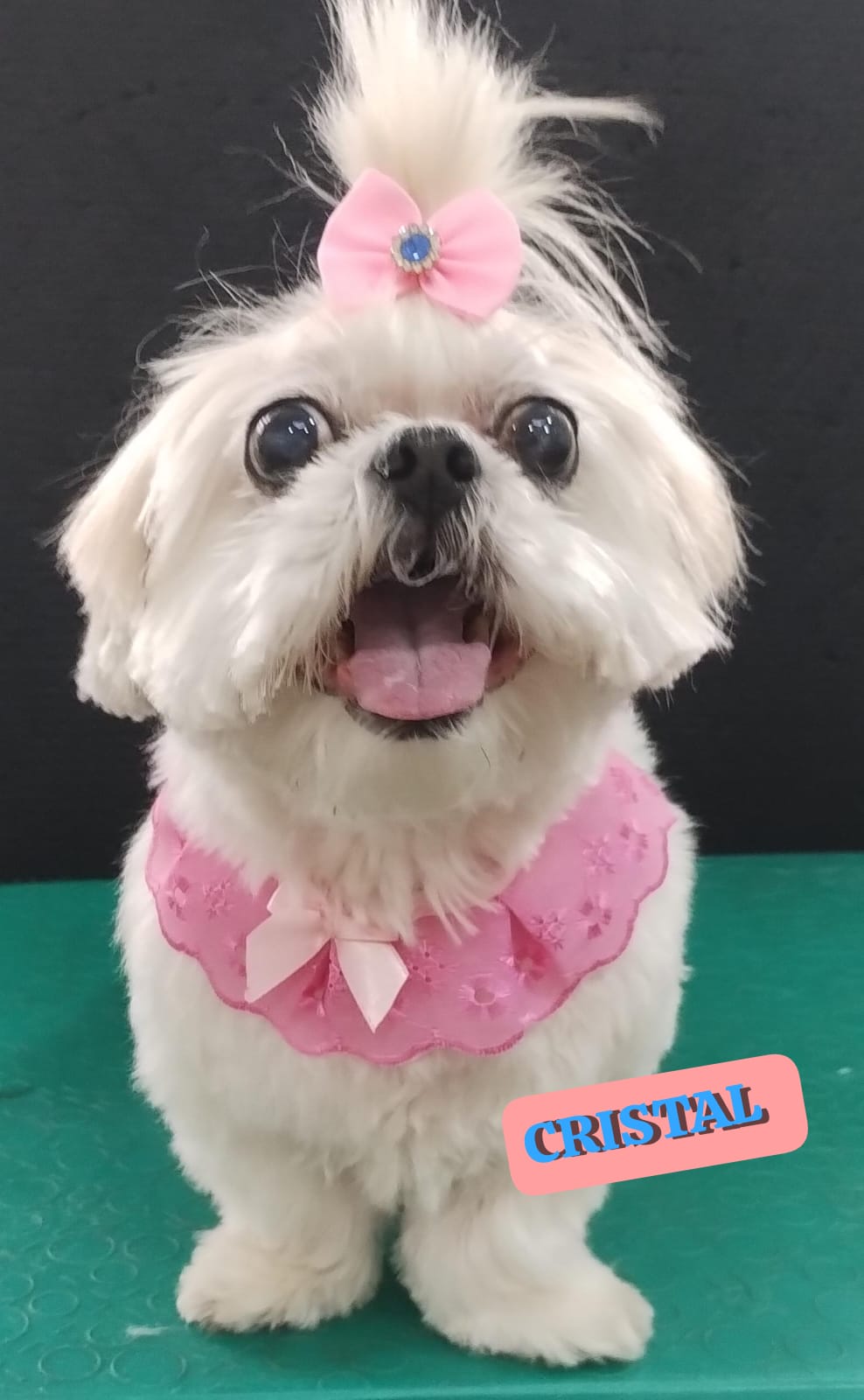 terça-feira, 02/12/2025 14:18