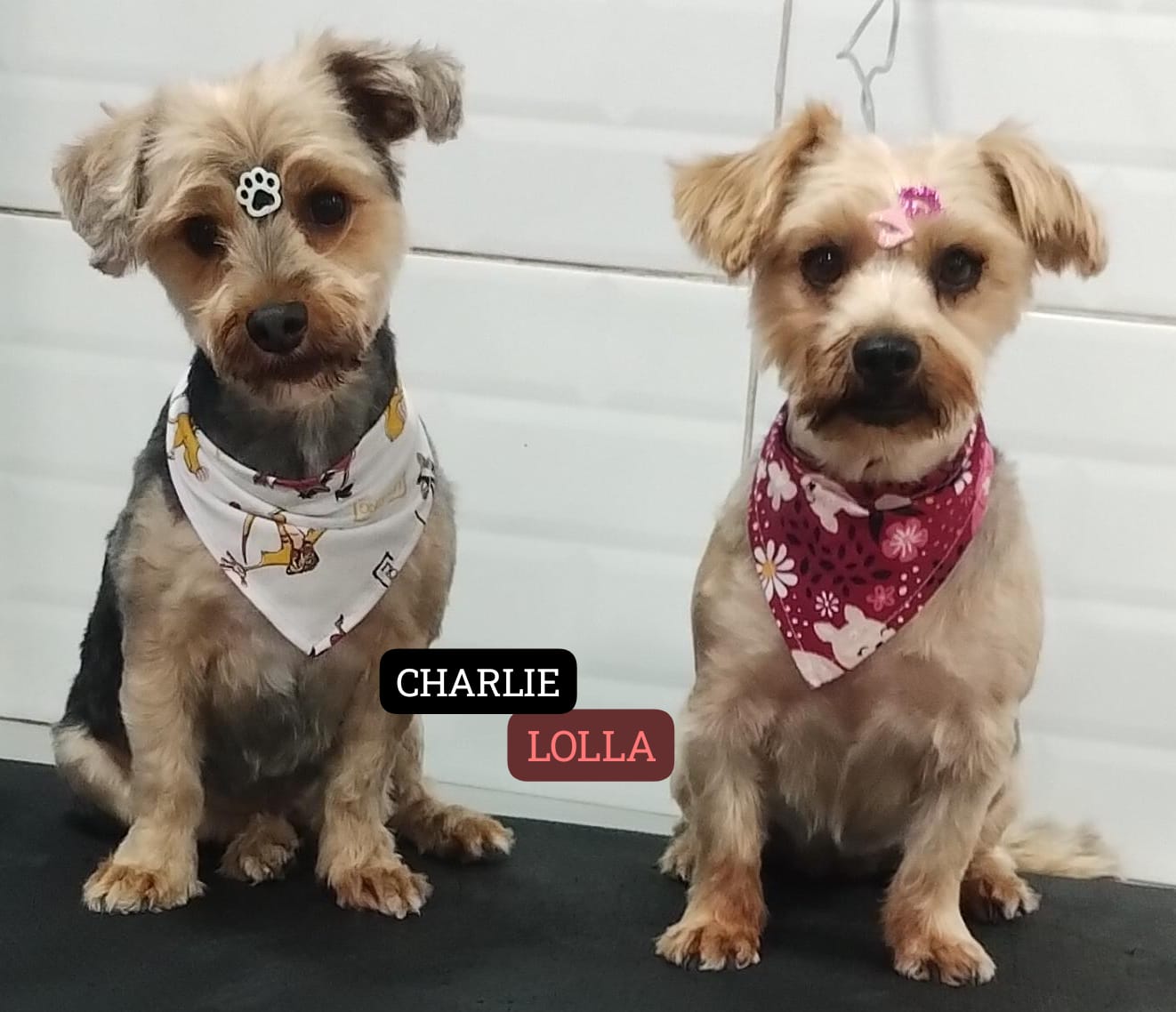 terça-feira, 02/12/2025 16:18