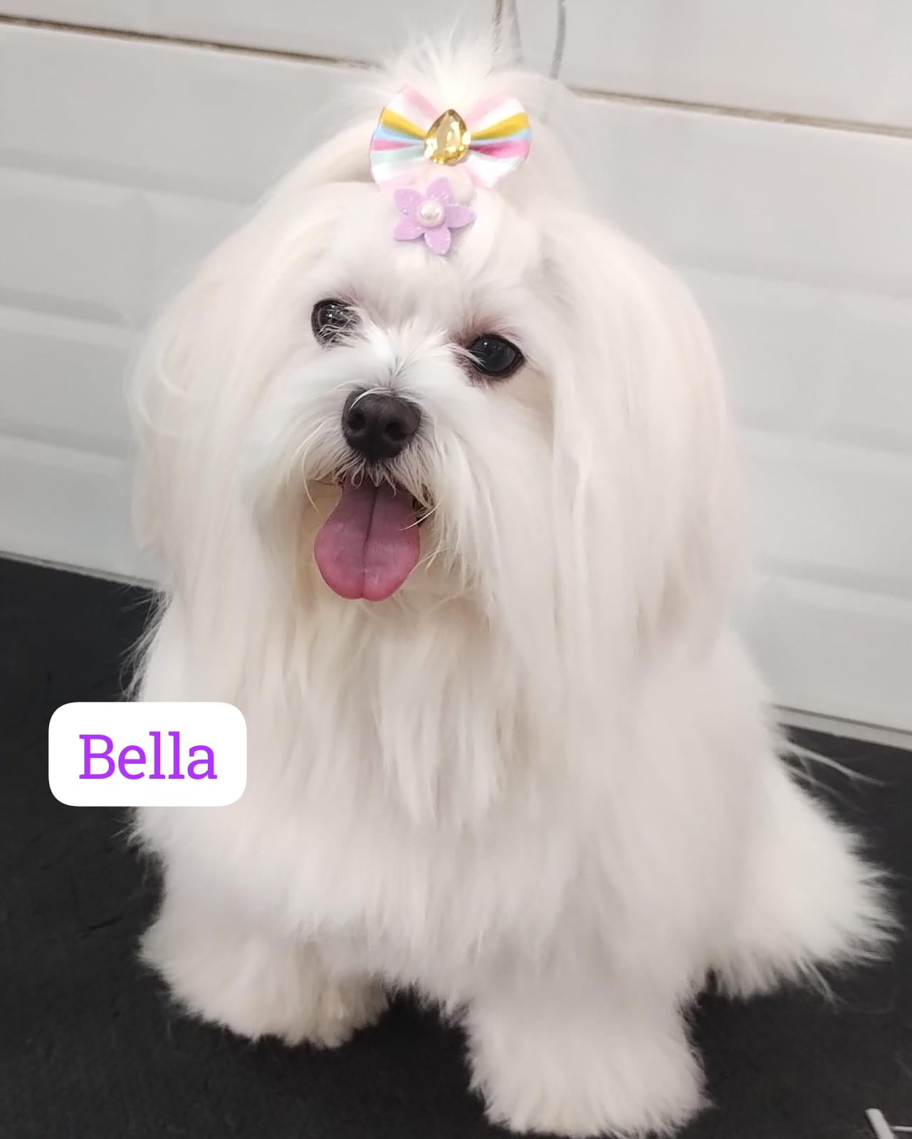 quarta-feira, 03/12/2025 11:36