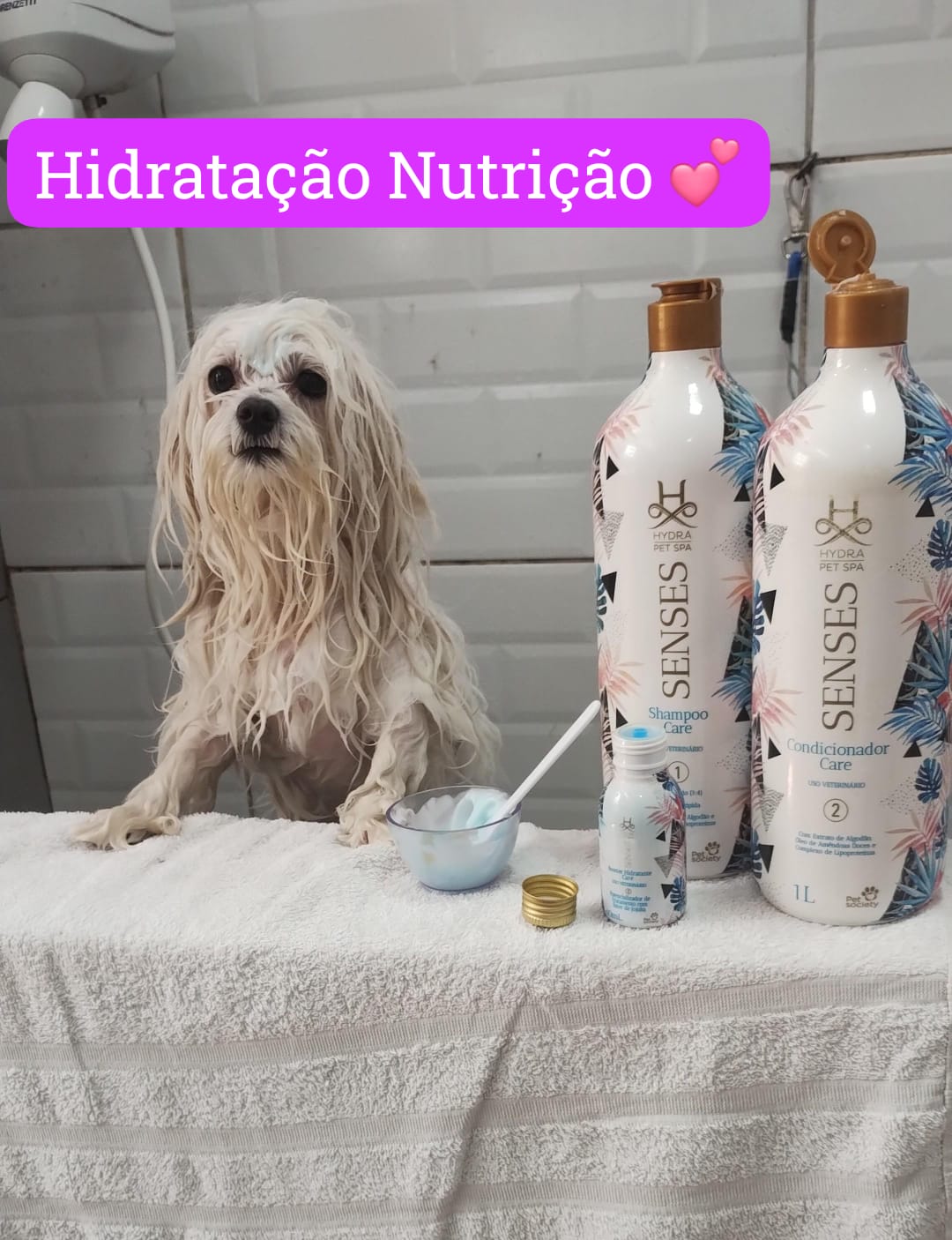 quarta-feira, 03/12/2025 11:36