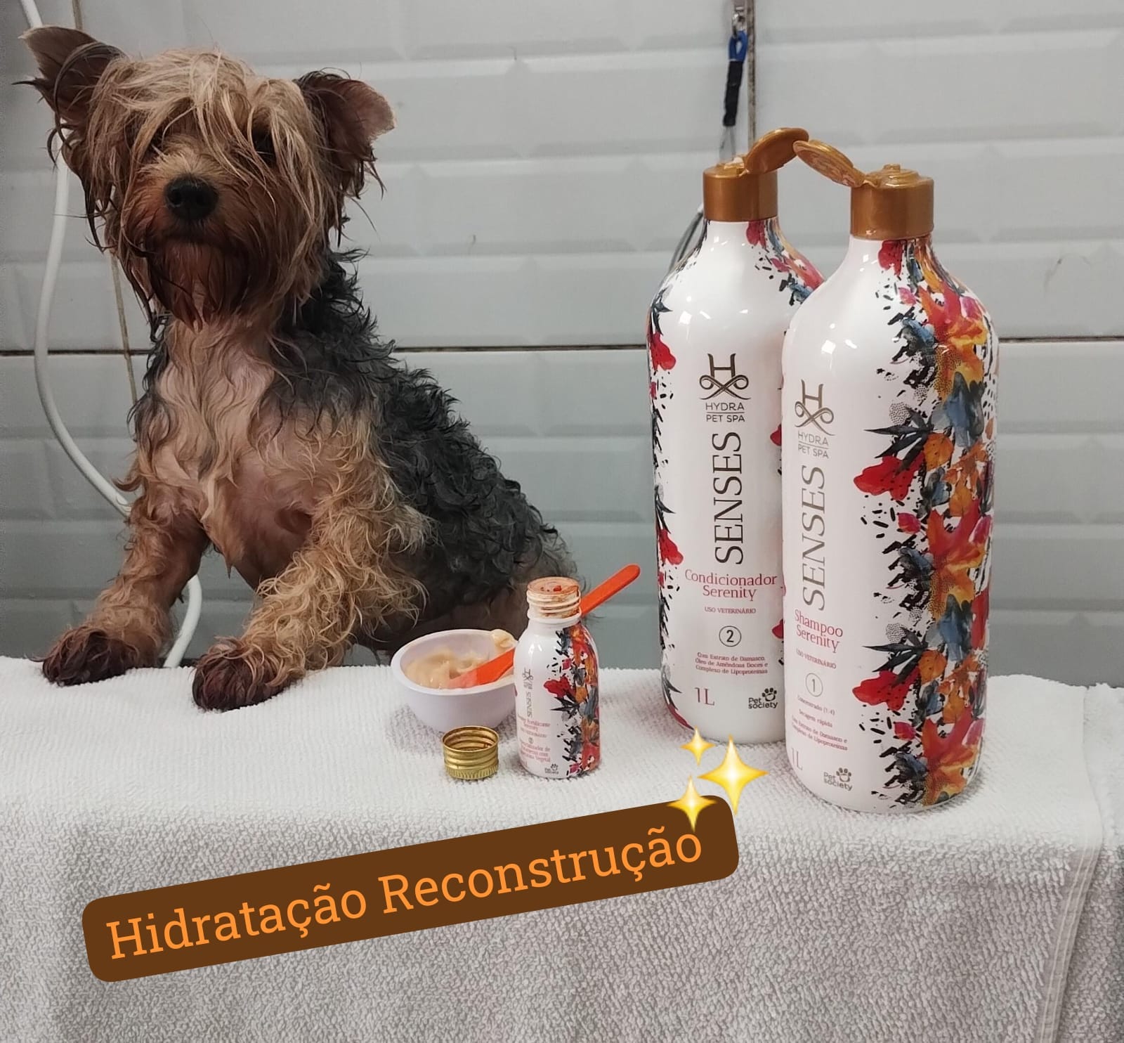 quarta-feira, 03/12/2025 11:36