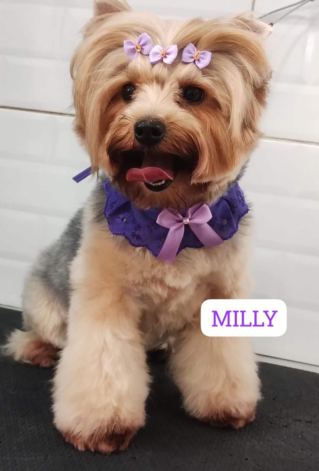 quarta-feira, 03/12/2025 12:03