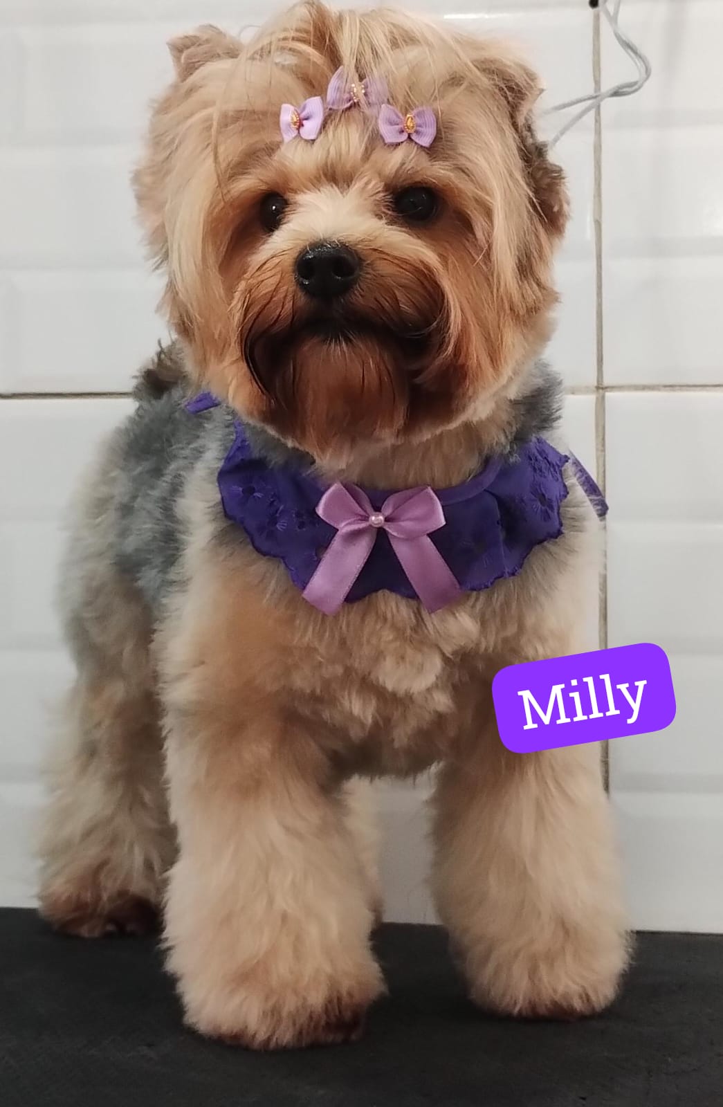 quarta-feira, 03/12/2025 12:13