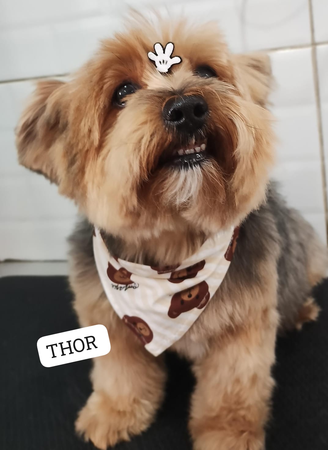 quarta-feira, 03/12/2025 12:27