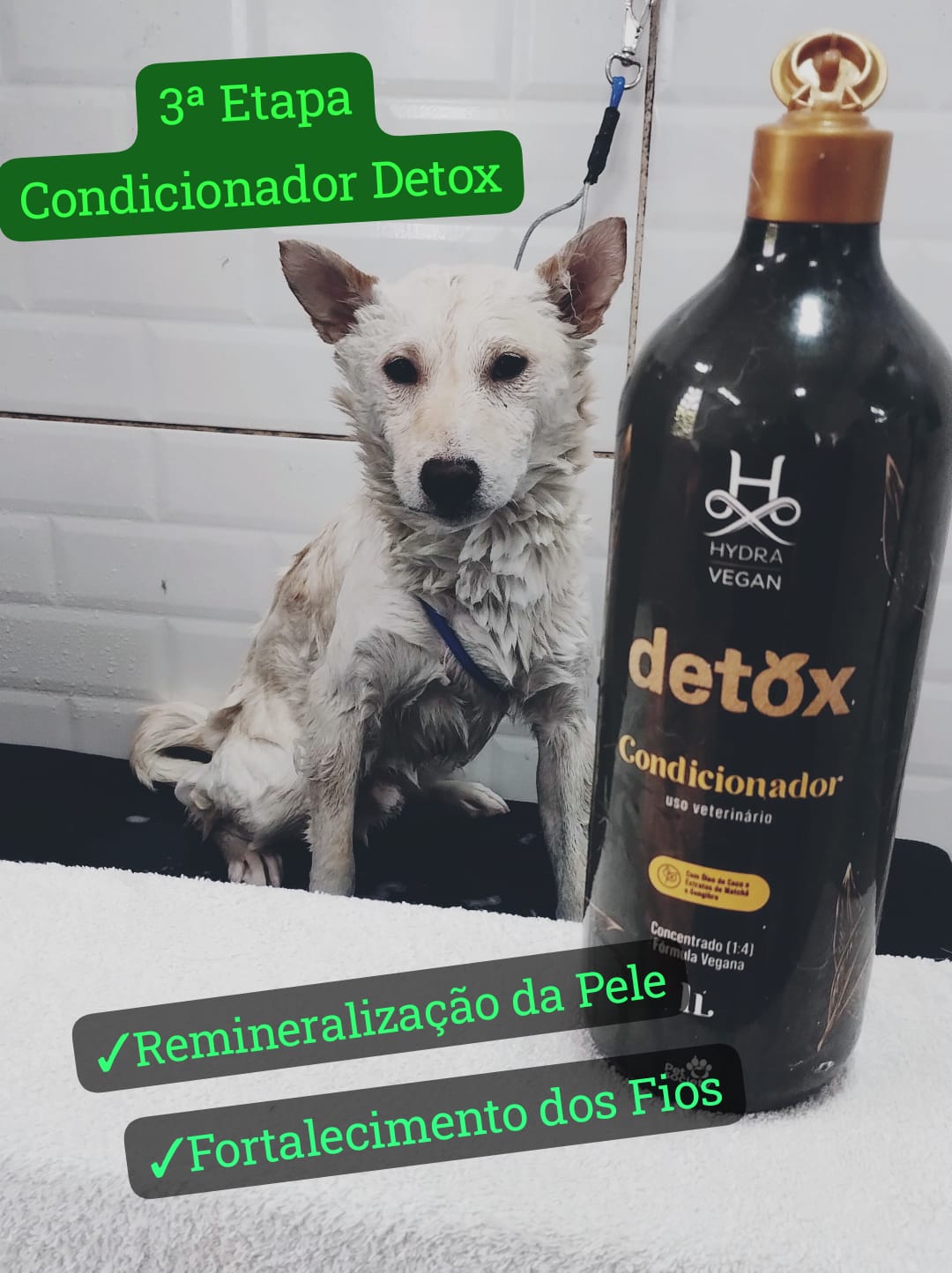 quarta-feira, 03/12/2025 15:07