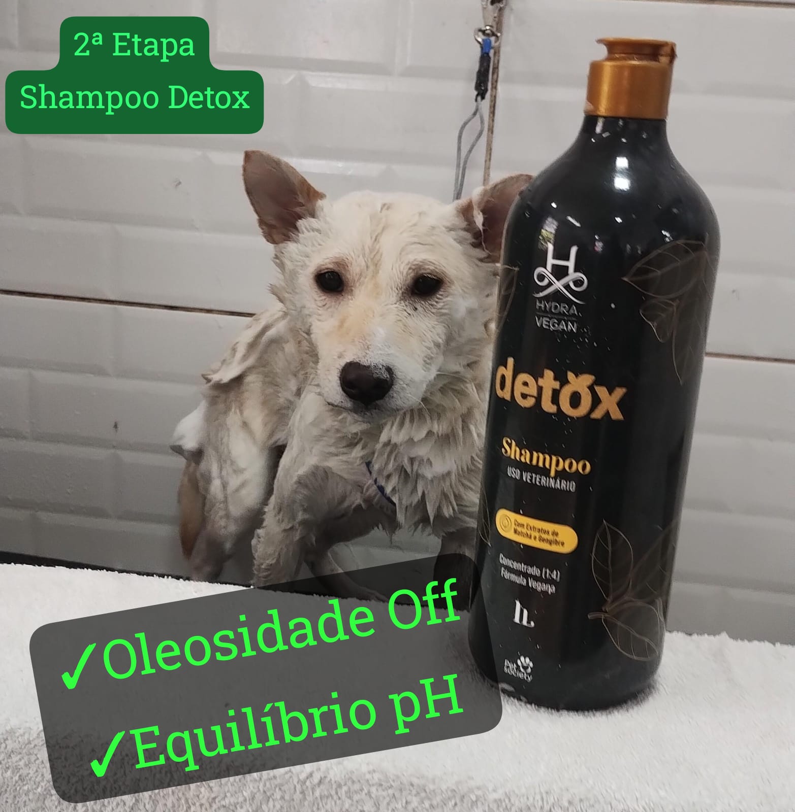 quarta-feira, 03/12/2025 15:07