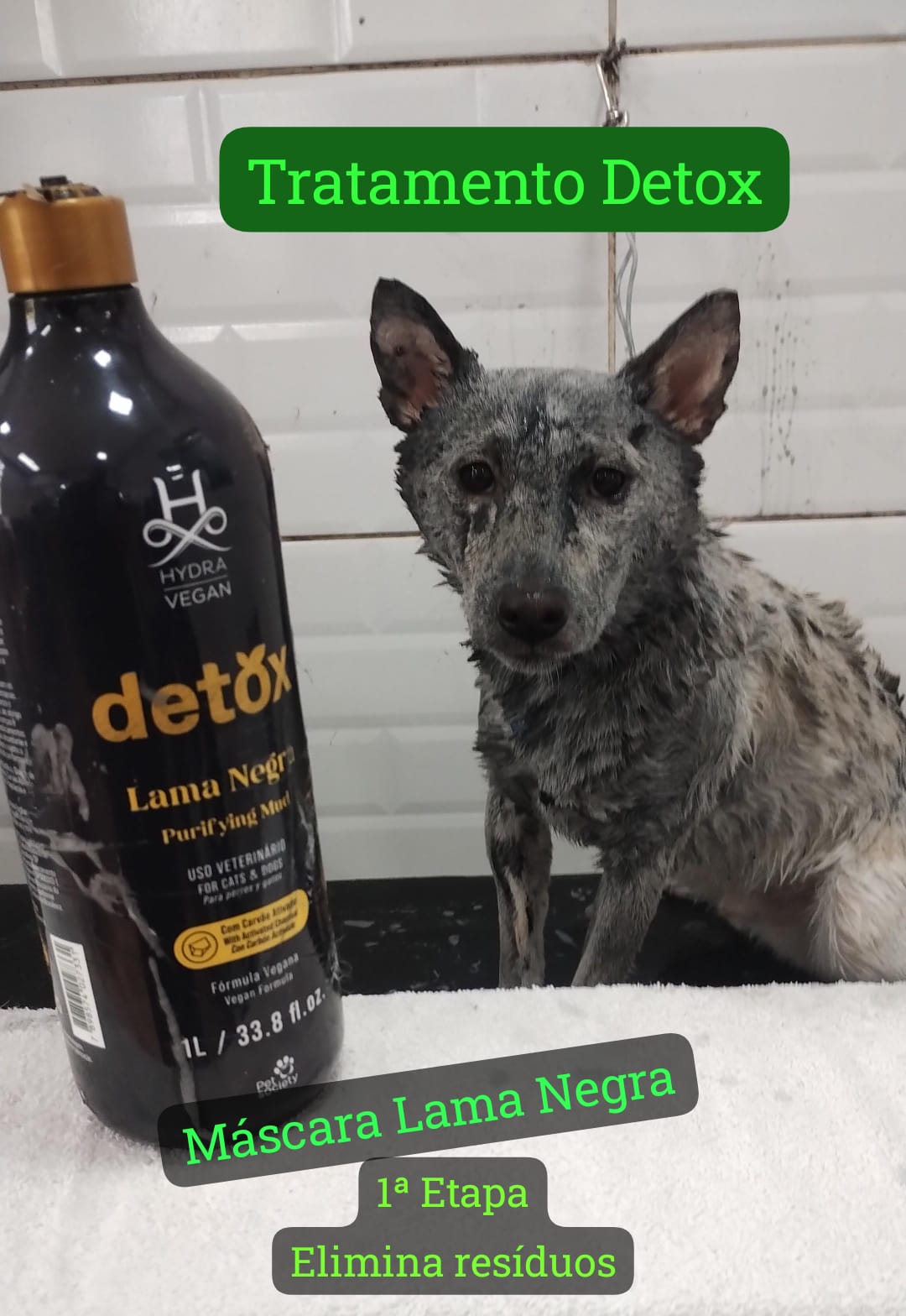 quarta-feira, 03/12/2025 15:07