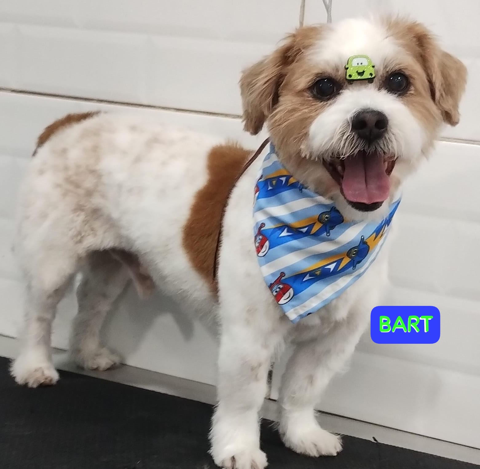 quarta-feira, 03/12/2025 17:18