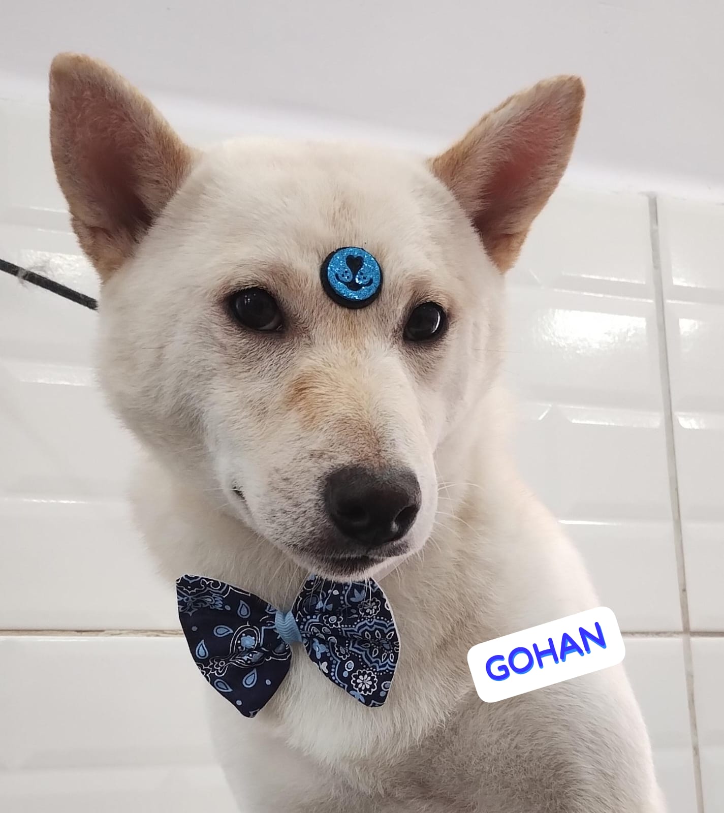 quarta-feira, 03/12/2025 17:18