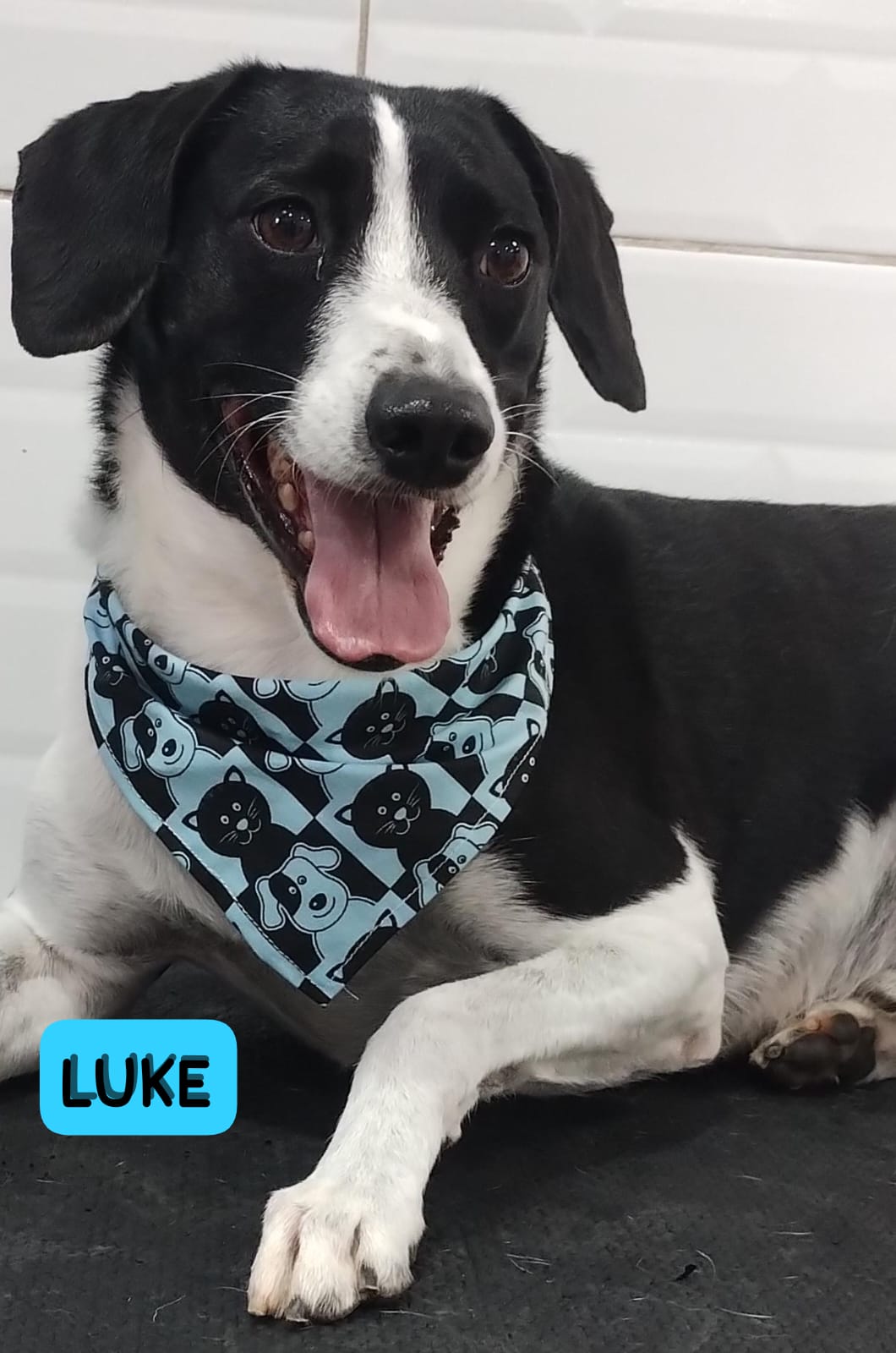 quinta-feira, 04/12/2025 23:14