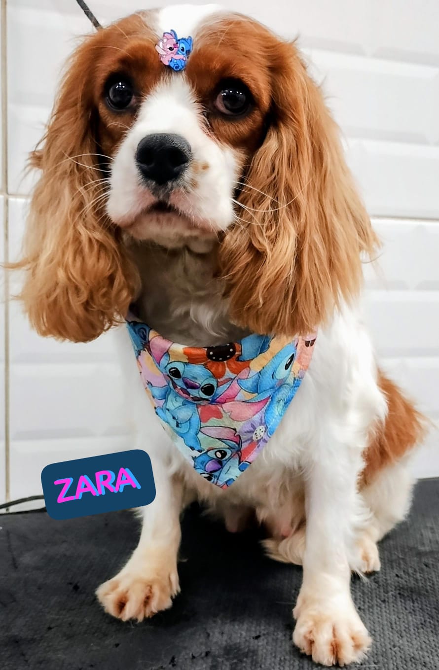 quinta-feira, 04/12/2025 23:14