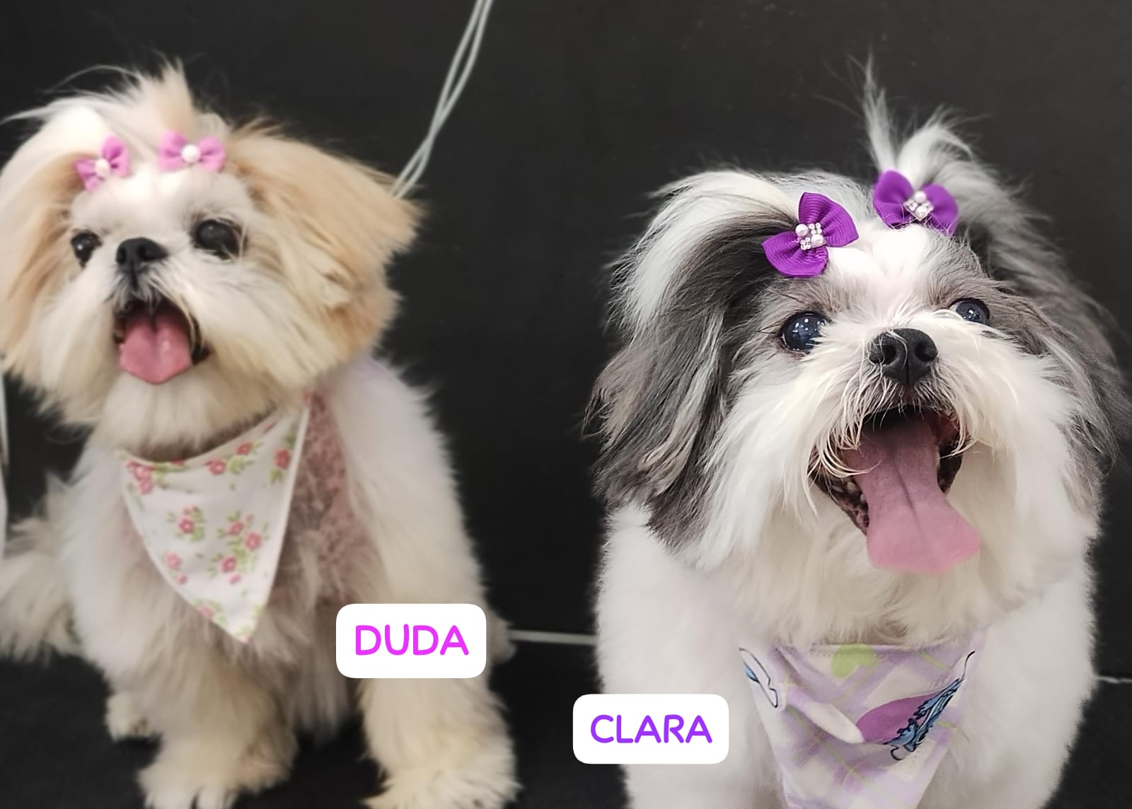 quinta-feira, 04/12/2025 23:14