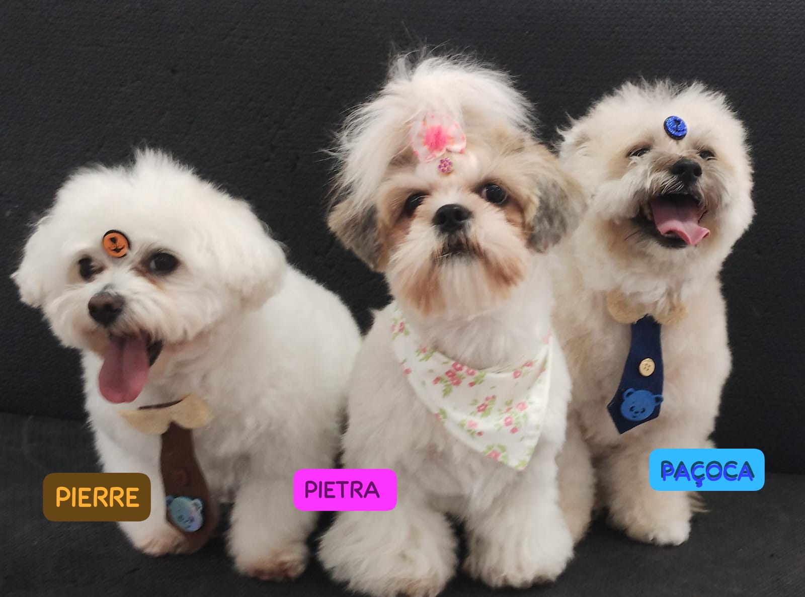 quinta-feira, 04/12/2025 23:14