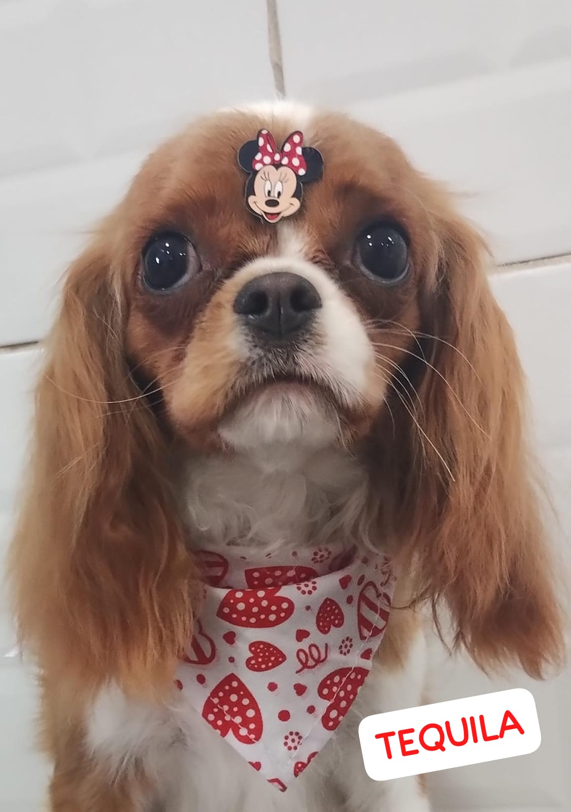 quinta-feira, 04/12/2025 23:14