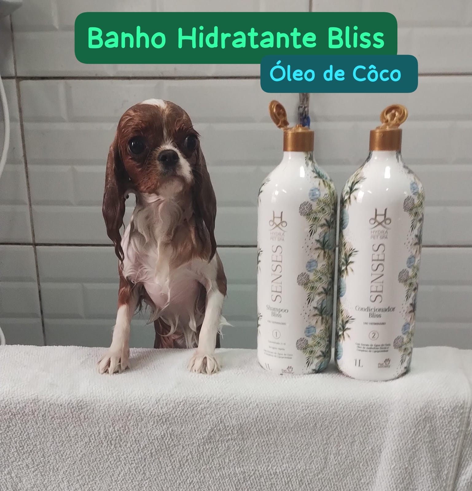 quinta-feira, 04/12/2025 23:14