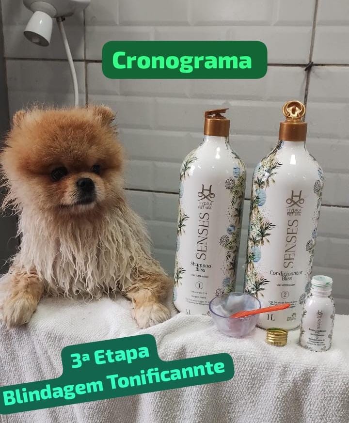 quarta-feira, 10/12/2025 10:51