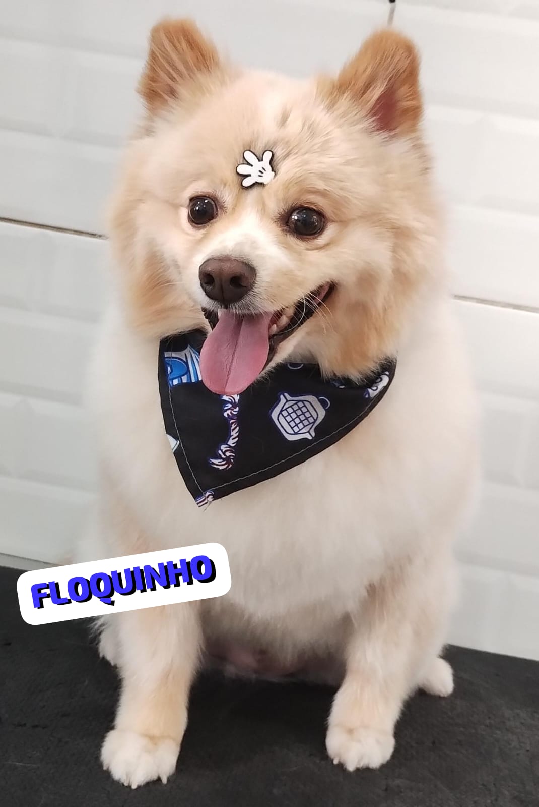 quarta-feira, 10/12/2025 10:51