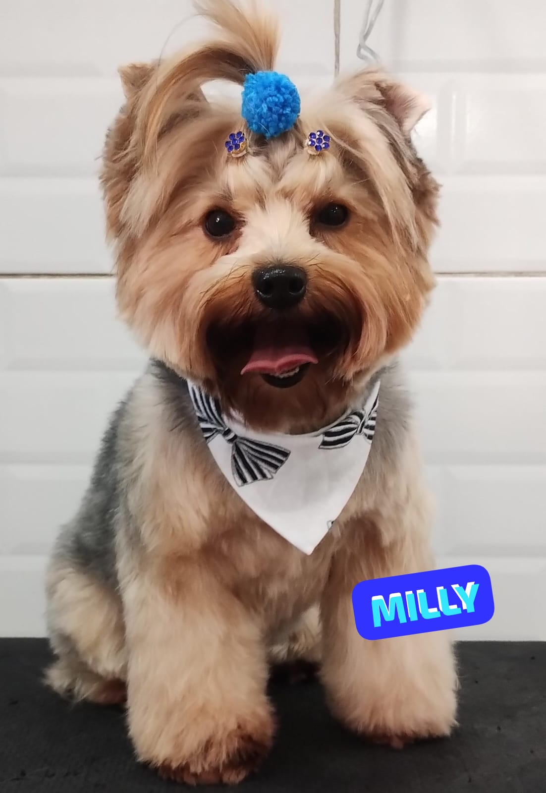 quarta-feira, 10/12/2025 14:07