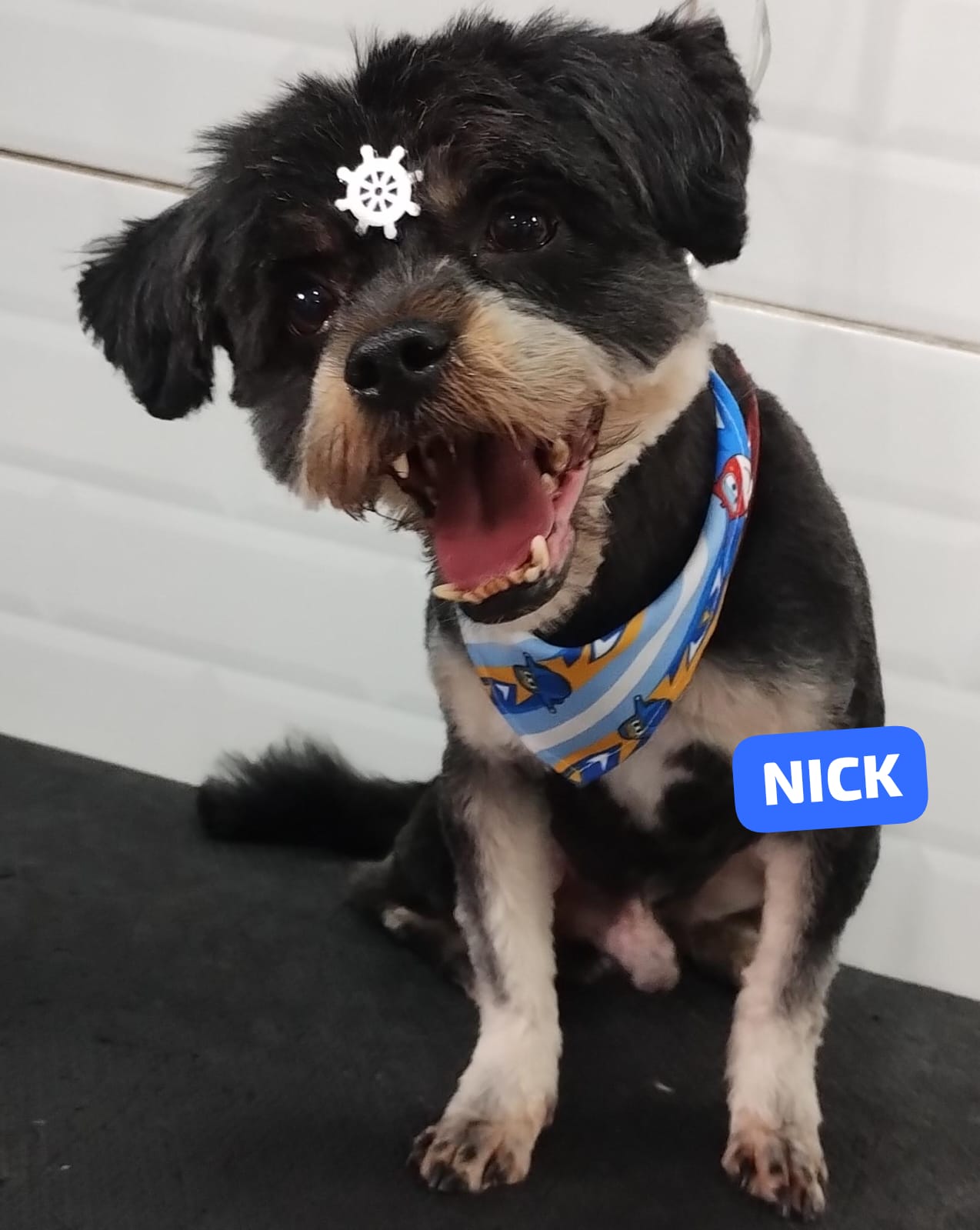 quarta-feira, 10/12/2025 18:42