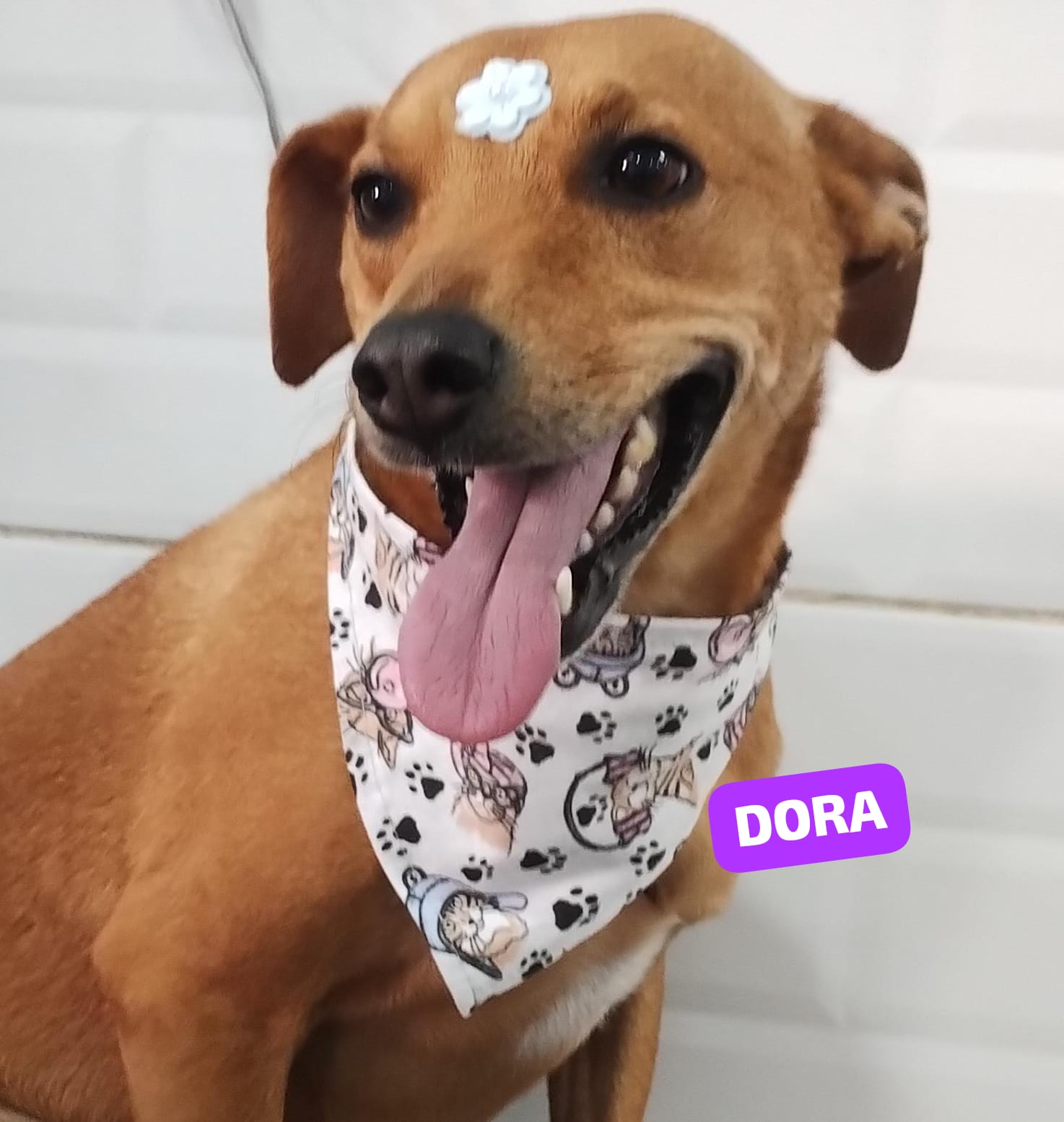 quarta-feira, 10/12/2025 18:42