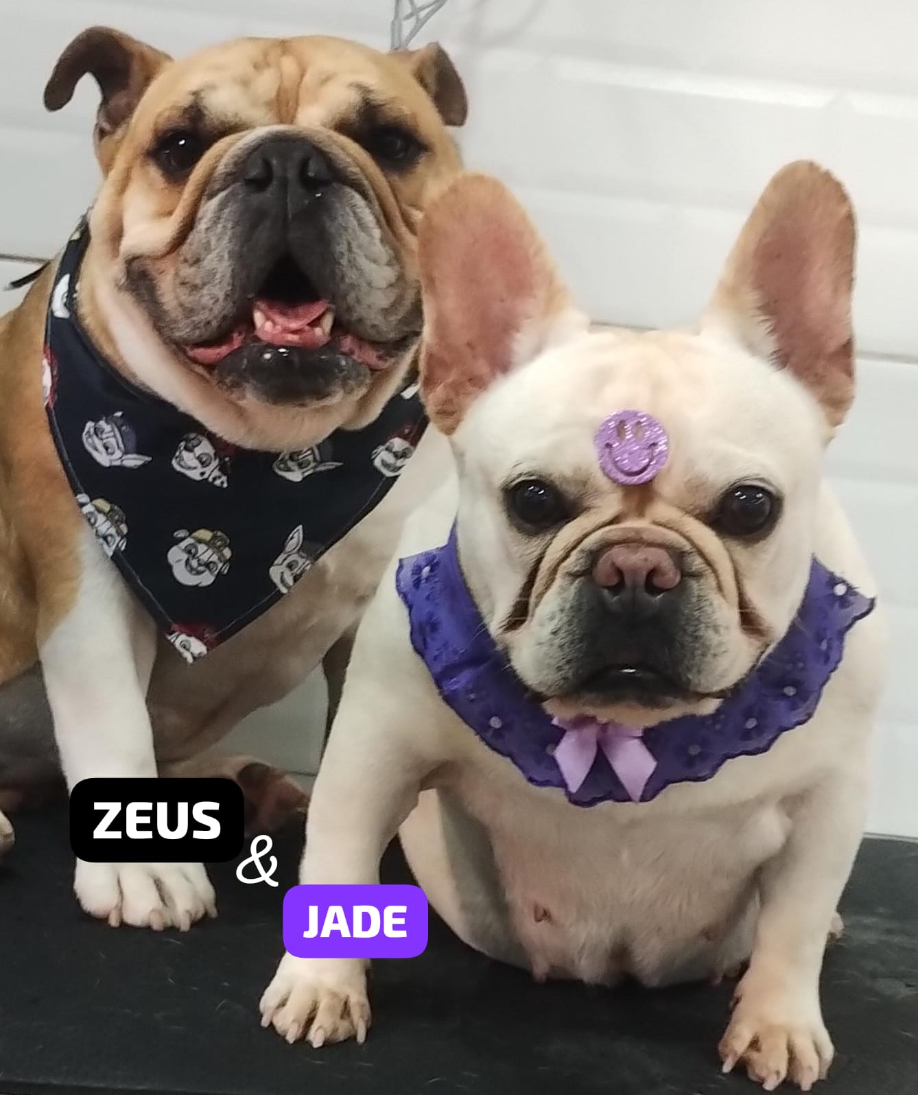 quarta-feira, 10/12/2025 18:42