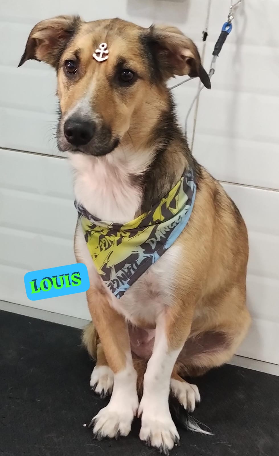 quarta-feira, 10/12/2025 18:42