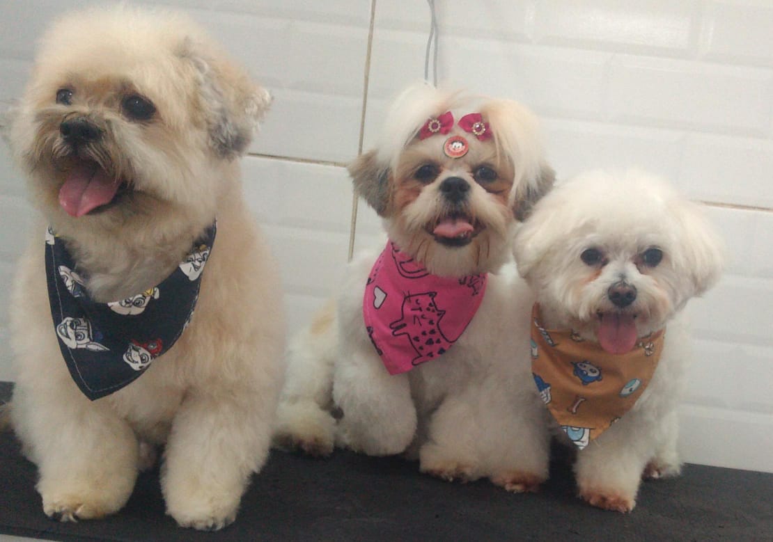 quinta-feira, 11/12/2025 16:45