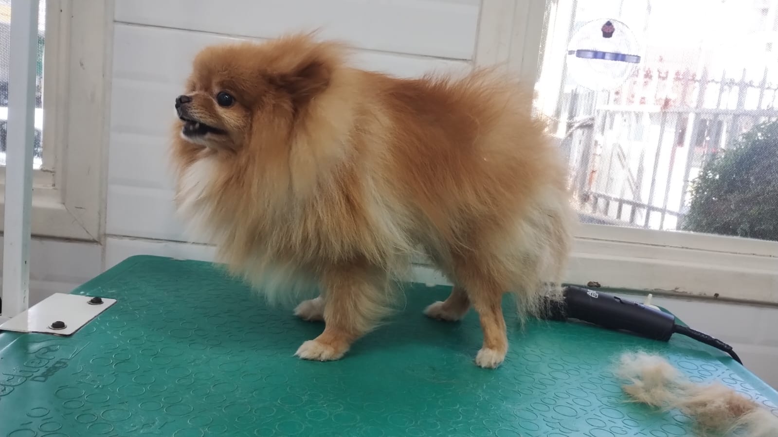 quinta-feira, 11/12/2025 16:45