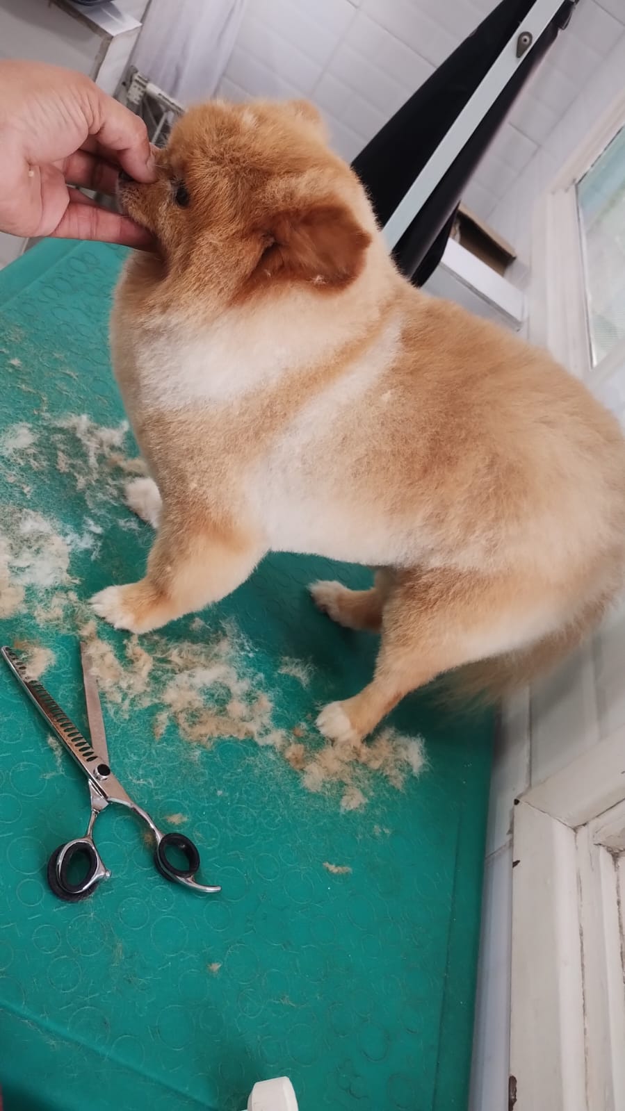 quinta-feira, 11/12/2025 16:45