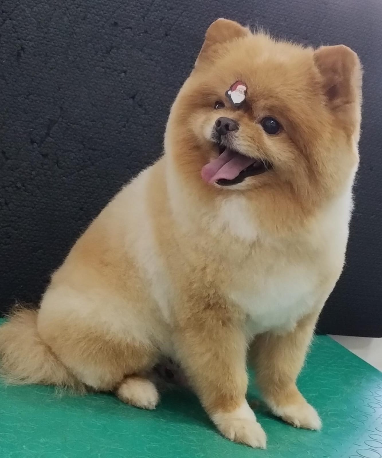 quinta-feira, 11/12/2025 16:45