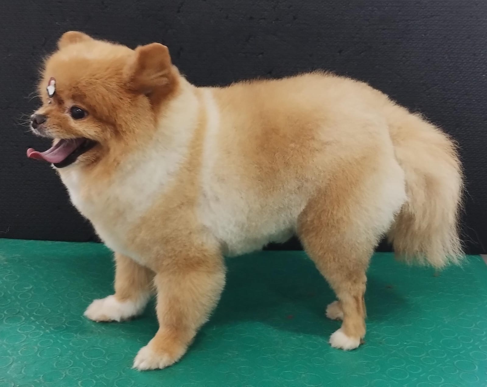 quinta-feira, 11/12/2025 16:45