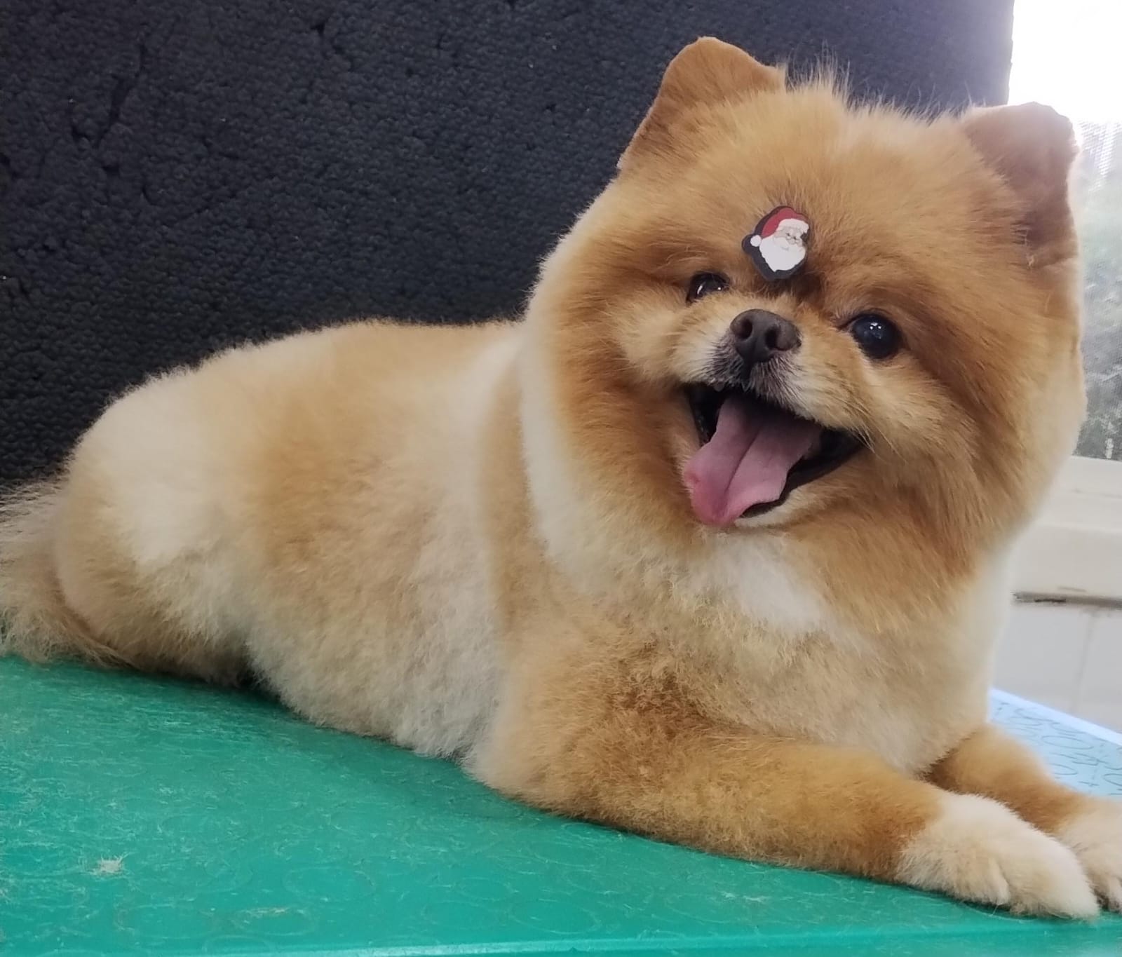 quinta-feira, 11/12/2025 16:45