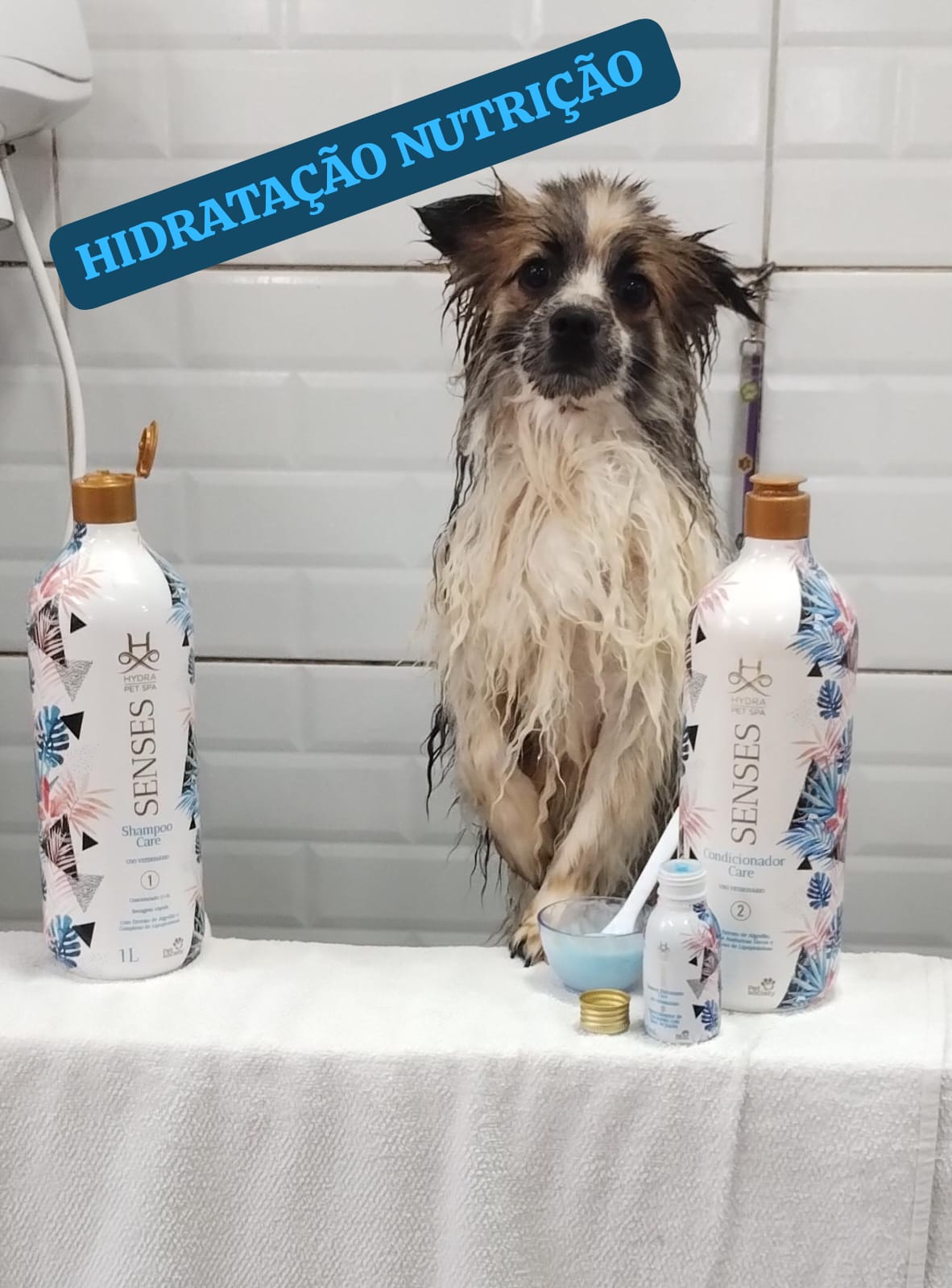 quinta-feira, 11/12/2025 16:45