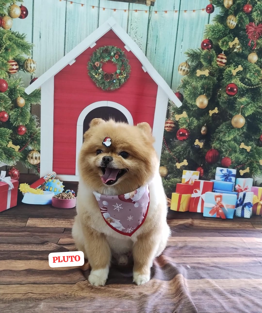 quinta-feira, 11/12/2025 16:45