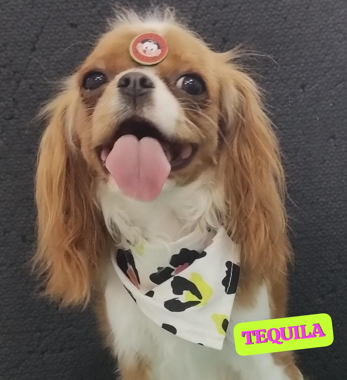 quinta-feira, 11/12/2025 16:45