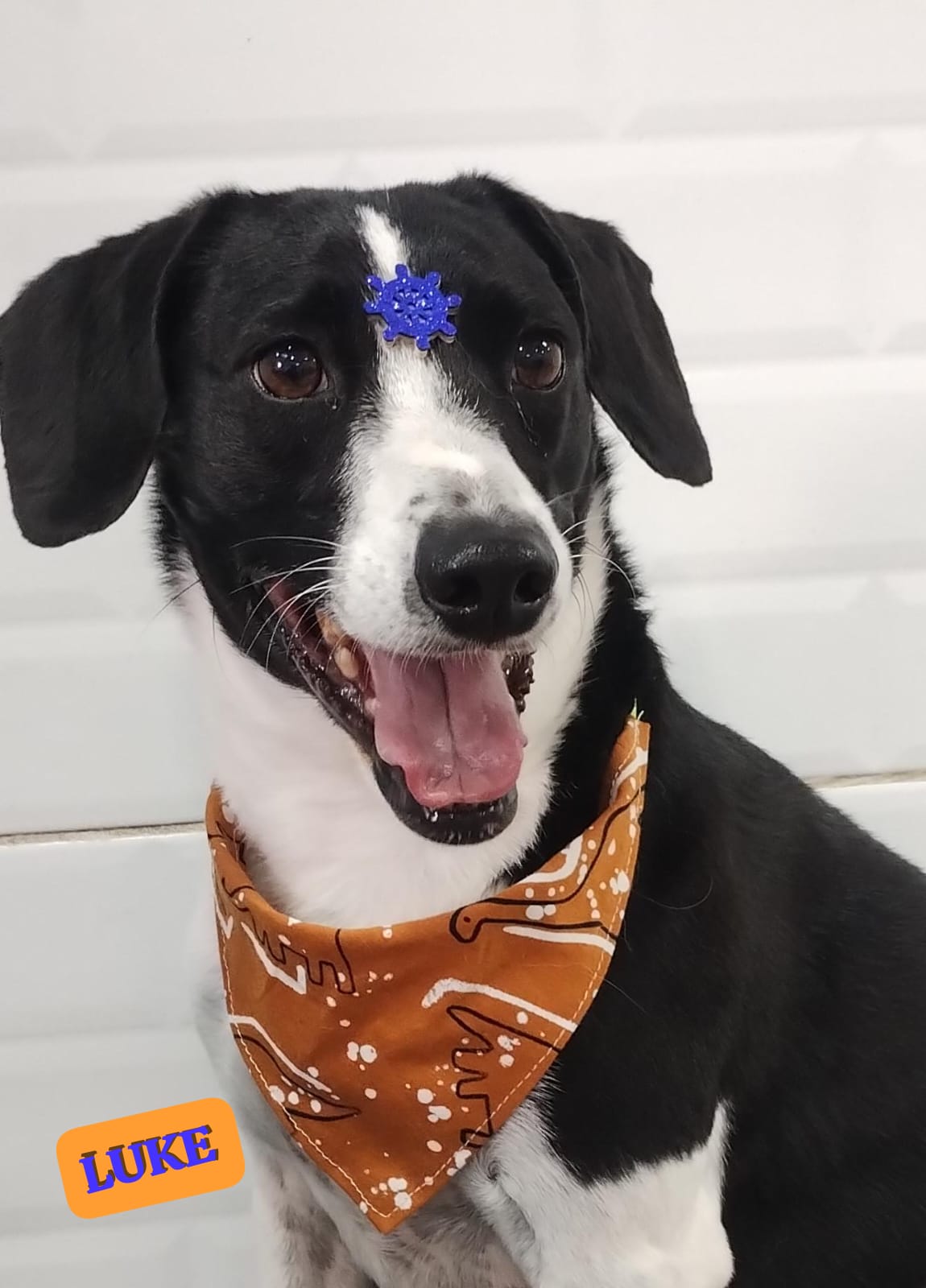 quinta-feira, 11/12/2025 16:45