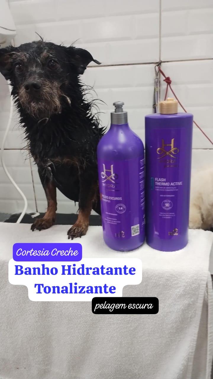 quinta-feira, 11/12/2025 17:16