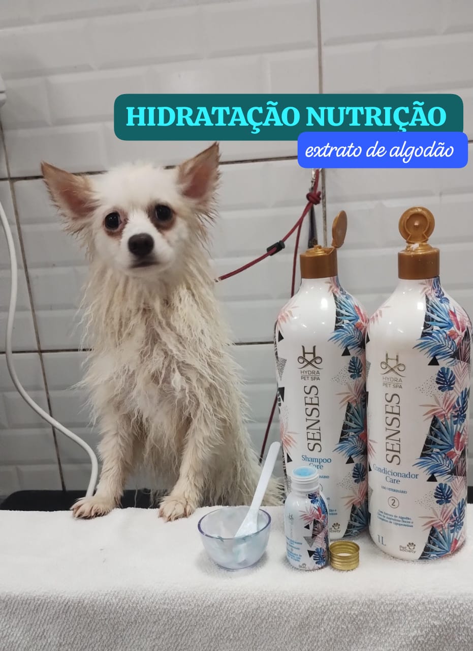 quinta-feira, 11/12/2025 17:34