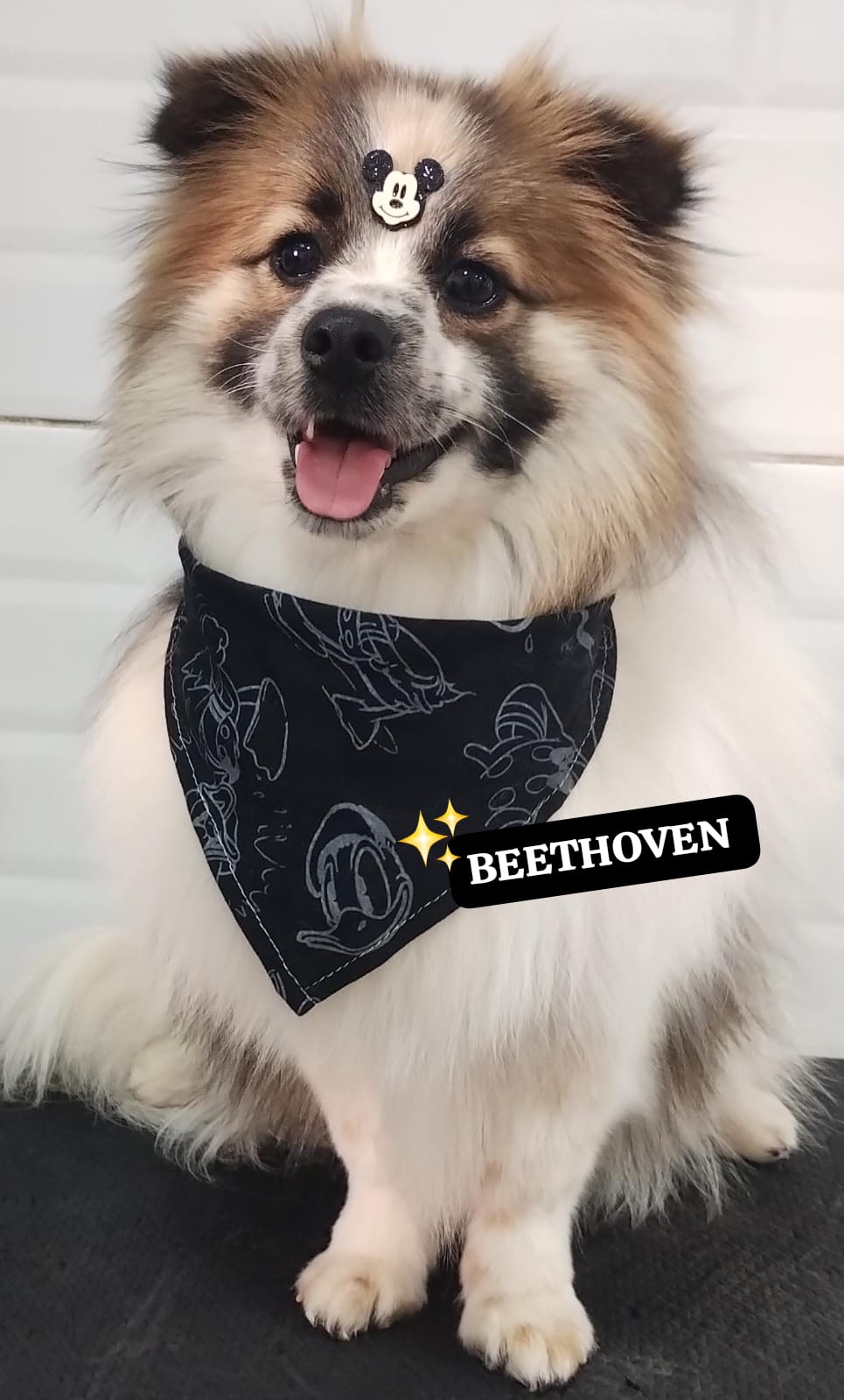 quinta-feira, 11/12/2025 18:16