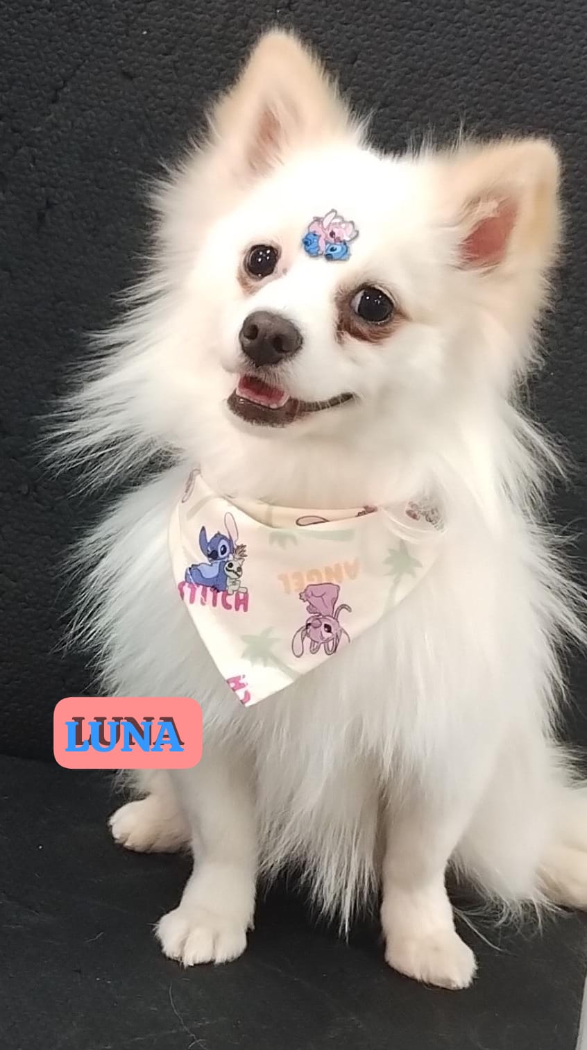 quinta-feira, 11/12/2025 18:16