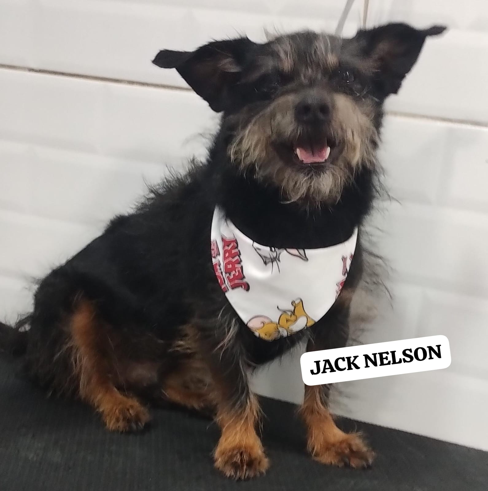 quinta-feira, 11/12/2025 18:16