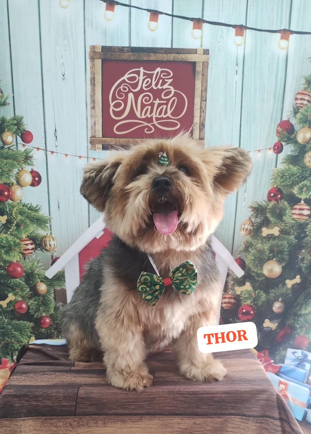 sexta-feira, 12/12/2025 09:55