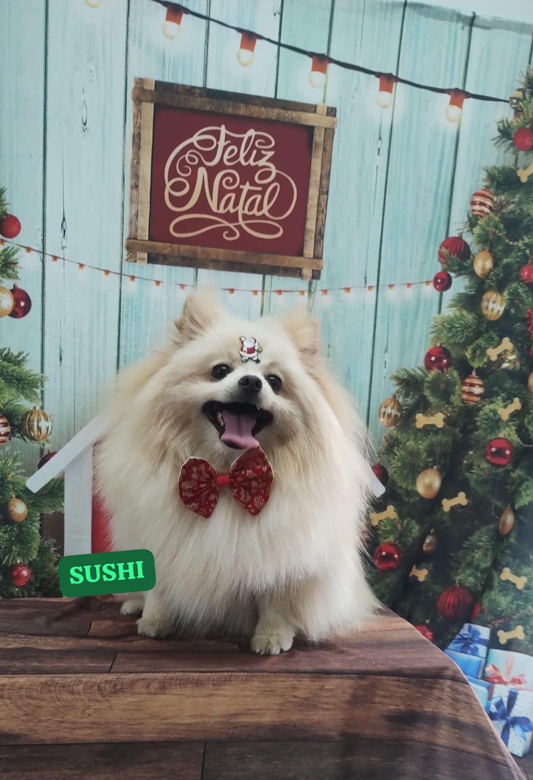 sexta-feira, 12/12/2025 13:08