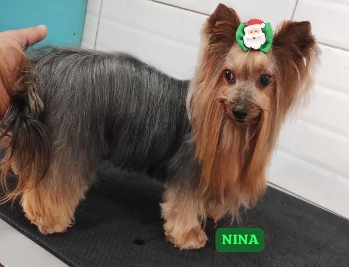 sexta-feira, 12/12/2025 13:08