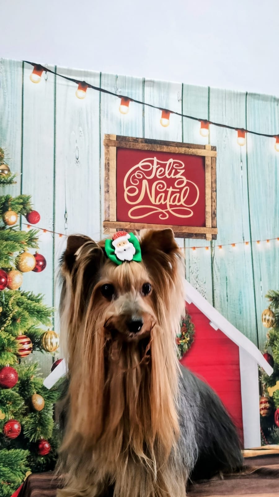 sexta-feira, 12/12/2025 13:08