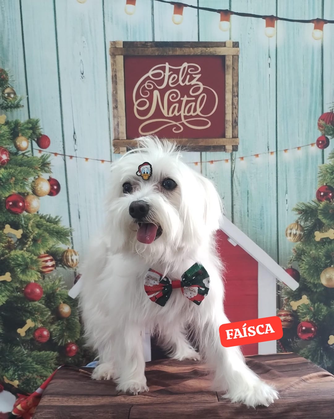 sexta-feira, 12/12/2025 13:08